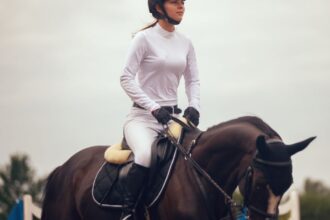 Equestrian Boarding Schools