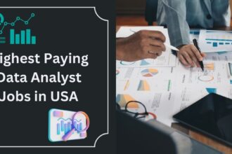 Highest Paying Data Analyst Jobs in USA