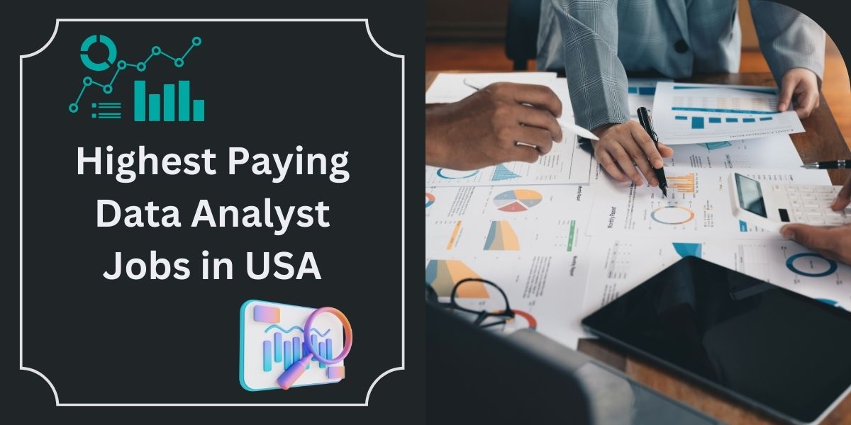 Highest Paying Data Analyst Jobs in USA